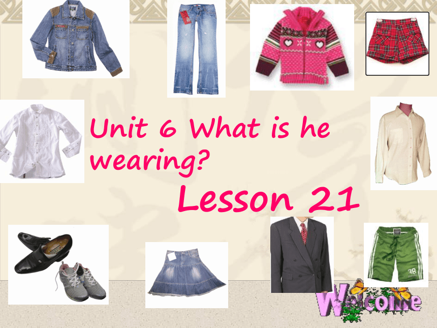 Unit 6 What is he wearing Lesson 21 课件(共11张PPT)