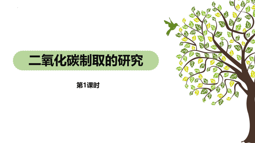 6.2二氧化碳制取的研究(第一课时)课件--2022-2023学年九年级化学人教版上册(共20张PPT)