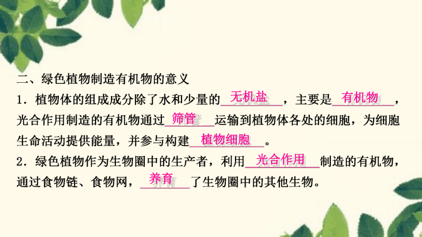 人教版生物七年级上册 第四章　绿色植物是生物圈中有机物的制造者 课件（共21张PPT）