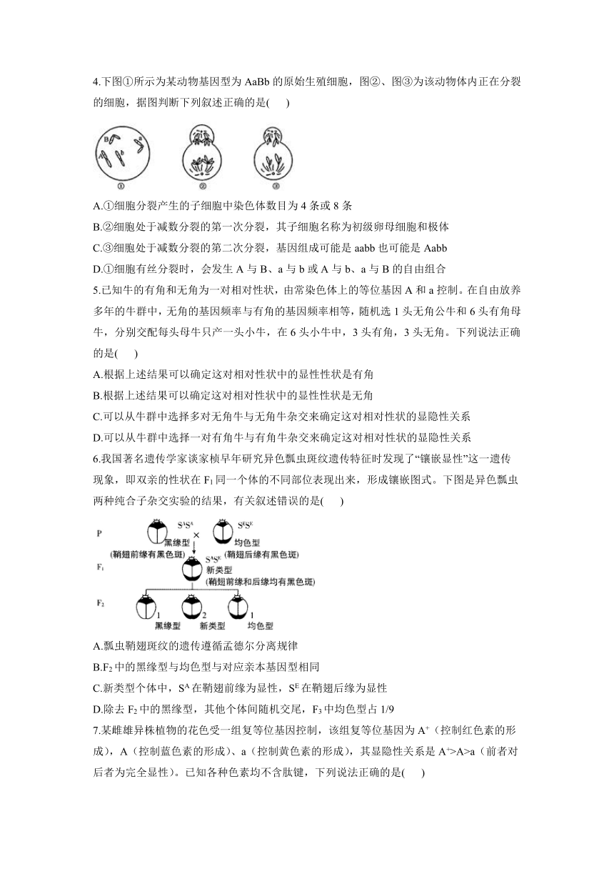 第1章 遗传的细胞基础 B卷 能力提升单元测试2021-2022学年高一下学期生物苏教版必修2（含答案解析）