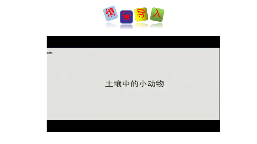 13.1 土壤里的小动物-2022-2023学年七年级生物下册同步精品课堂（苏科版）课件(共34张PPT)