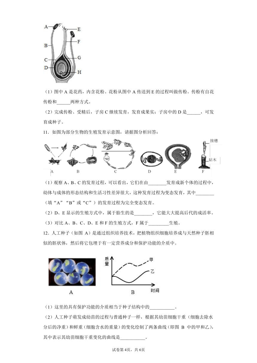 1.5植物生殖方式的多样性 同步练习（含解析）