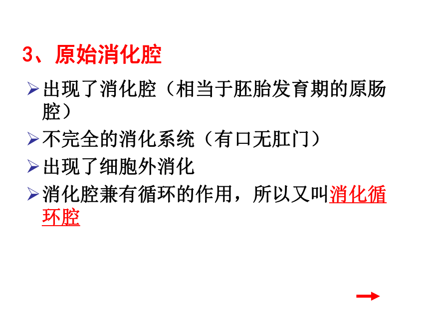 高中生物竞赛动物学教学课件第六章 辐射对称的动物 腔肠动物门（72张）