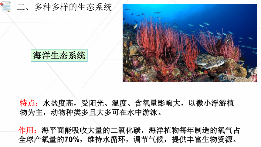 1.2.3 生物圈是最大的生态系统课件(共27张PPT) 2022-2023学年人教版生物七年级上册