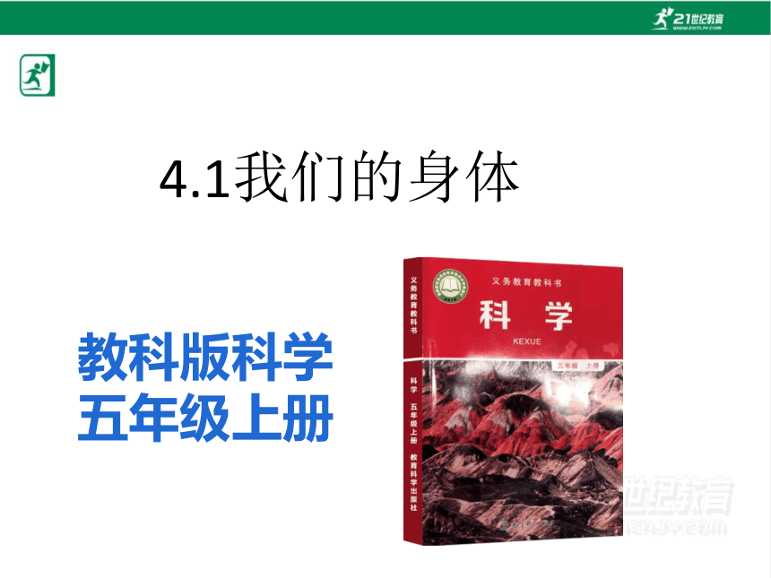 4.1 我们的身体 课件（34张PPT)