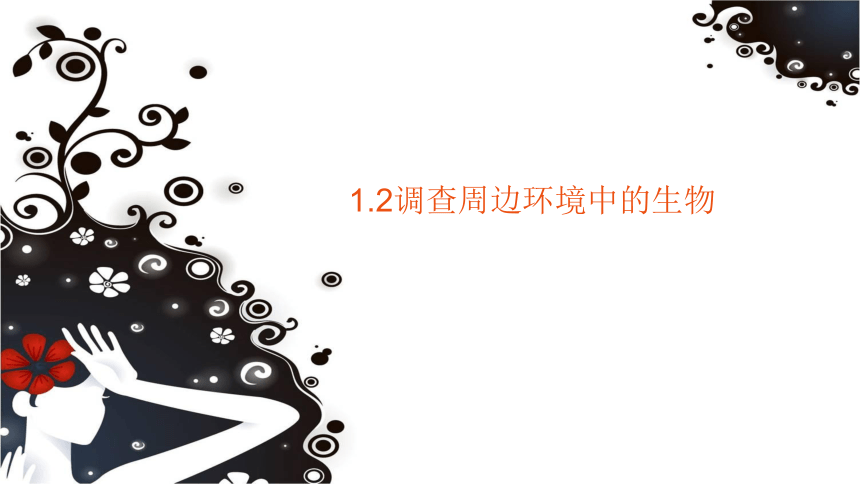 1.1.2  调查周边环境中的生物  课件(共43张PPT)2022-2023学年人教版生物七年级上册