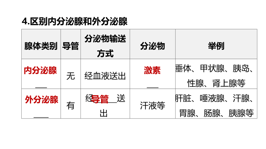 2022年浙江省中考科学一轮复习 第08课时　生命活动的调节（课件 38张PPT）