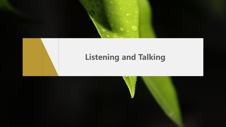 Unit 4 Listening and Talking课件（共33张PPT）人教版（2019）选择性必修第三册