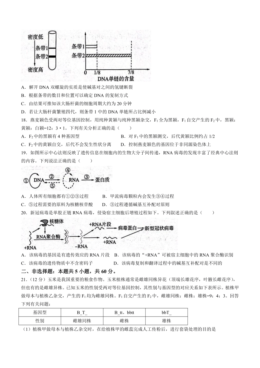 河南省信阳市百师联盟2022-2023学年高一下学期期中考试生物学试题（Word版含答案解析）