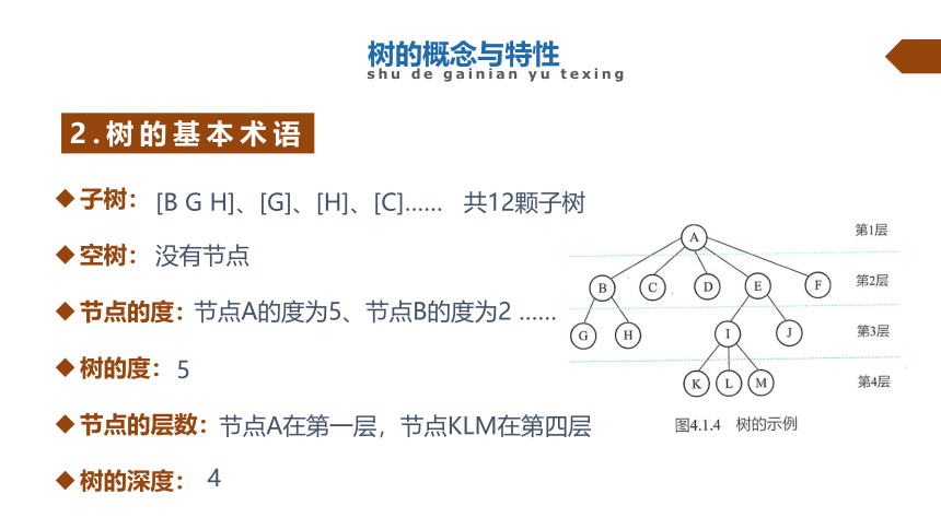 4.1树与二叉树　课件-2021-2022学年浙教版（2019）高中信息技术选修1（28张PPT）