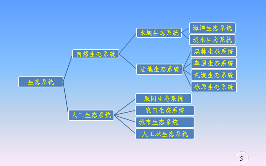 2021-2022学年高二上学期人教版生物必三第五章第一节生态系统的结构 课件（20张ppt）