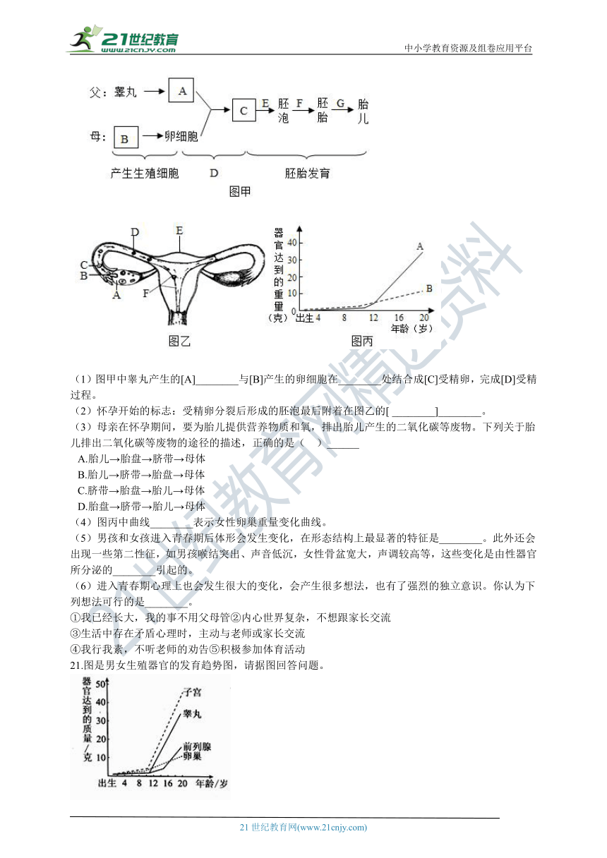 人教版2021初中生物七年级下册4.1人的由来 章末检测（含解析）