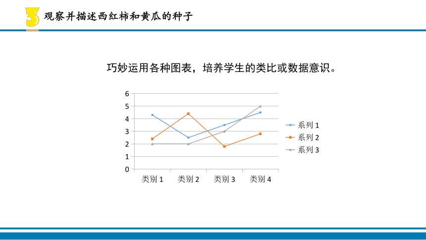 14.动物的繁殖 课件（10张PPT）