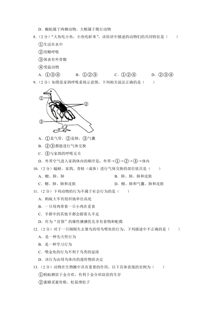 湖南省岳阳市岳阳县开发区长岭中学2022-2023学年八年级上学期期中生物试卷（附答案）