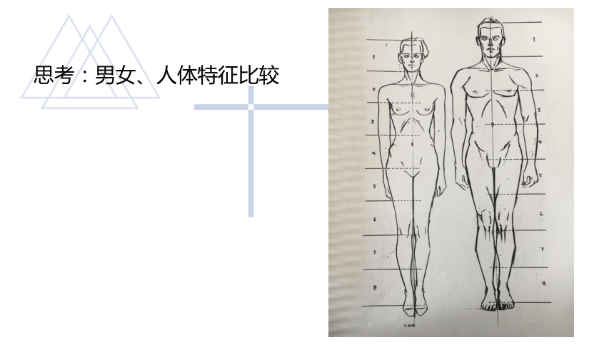 项目一服装廓型设计 课件(共53张PPT)-《服装设计》同步教学（中国纺织出版社）