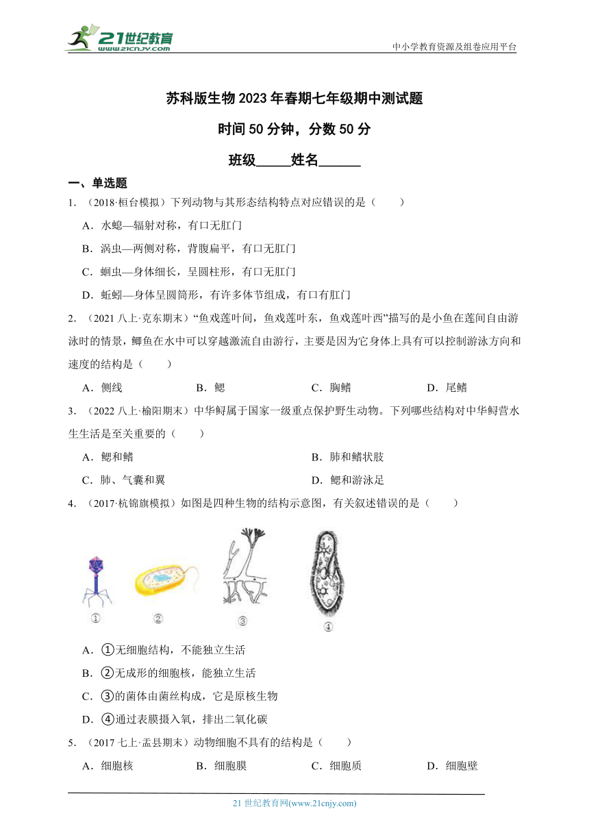 苏科版生物2023年春期七年级期中测试题（含解析）