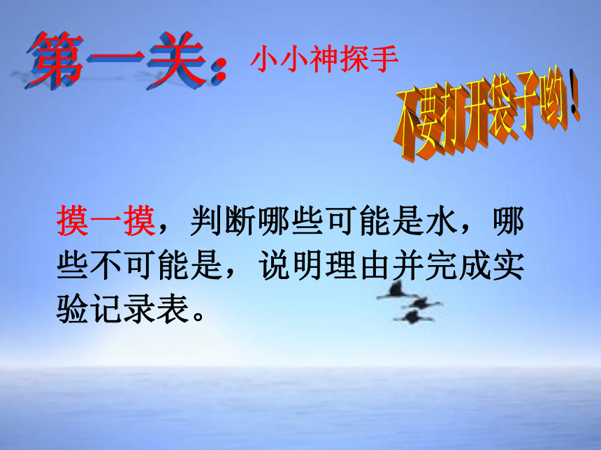 苏教版（2017秋）一年级下册科学4.水是什么样的 （课件16张ppt）