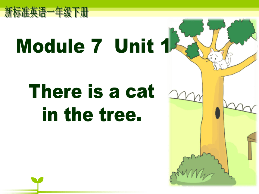 Module 7 Unit 1  There is a cat in the tree.课件(共53张PPT)