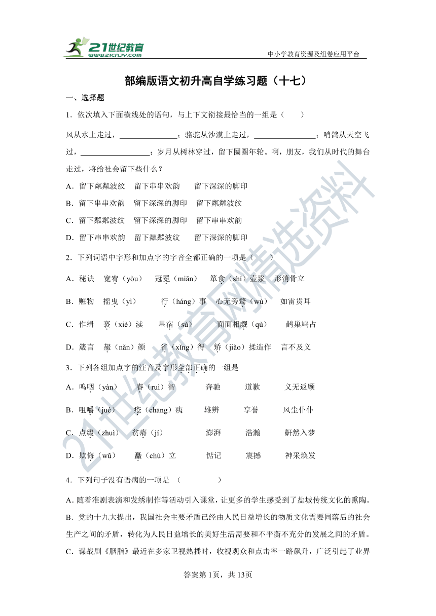 部编版语文初升高自学练习题（十七）试卷（含答案）