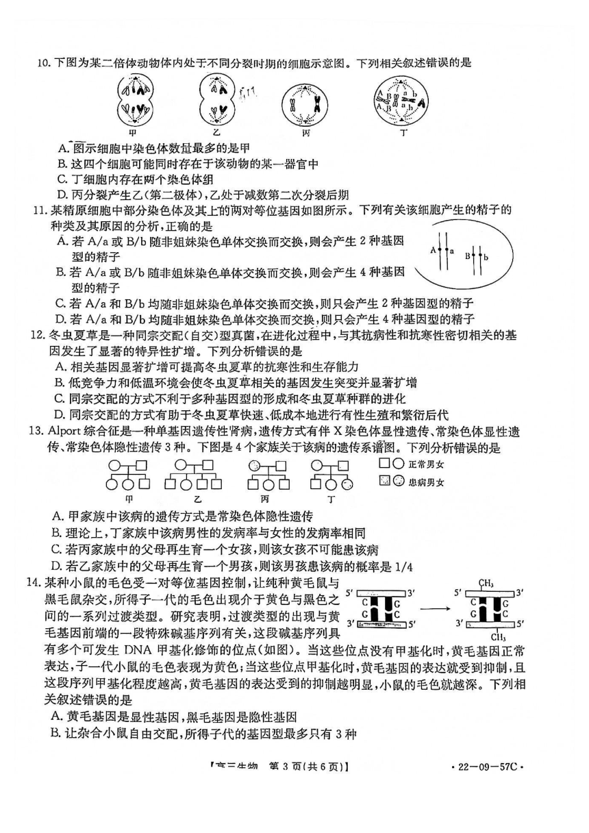 福建省南平市2022届高三上学期10月联考生物试题（PDF版含答案）