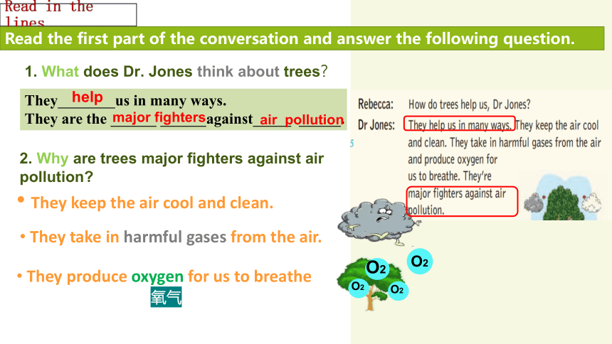 Unit4 Save the trees Reading: Trees in our daily lives 课件(共14张PPT)