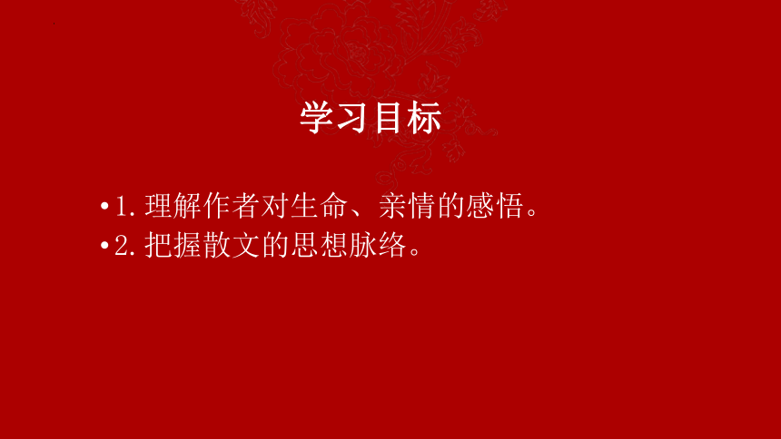 高中语文统编版必修上册15《我与地坛（节选）》（共42张ppt）