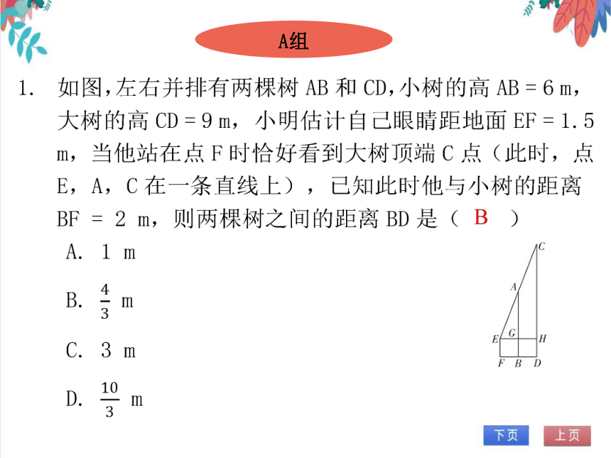 【北师大版】数学九年级（上）4.6 利用相似三角形测高 习题课件