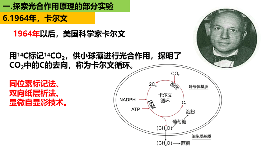 新人教必修1专题复习课件：18 光合作用2（光合作用的过程）(共44张PPT)