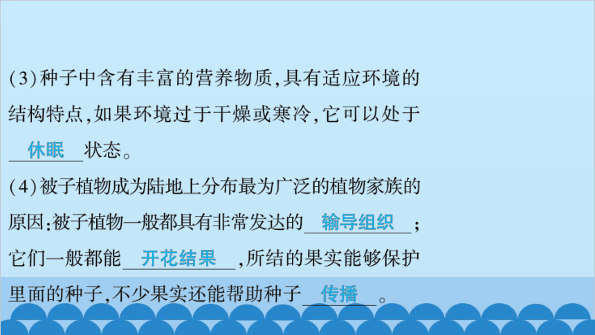 人教版生物七年级上册3.1.2　种子植物  第2课时　裸子植物和被子植物 习题课件(共19张PPT)