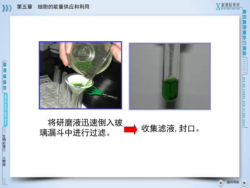 5.4.1光合作用与能量转化课件（14张）2022-2023学年高一上学期生物人教版必修1