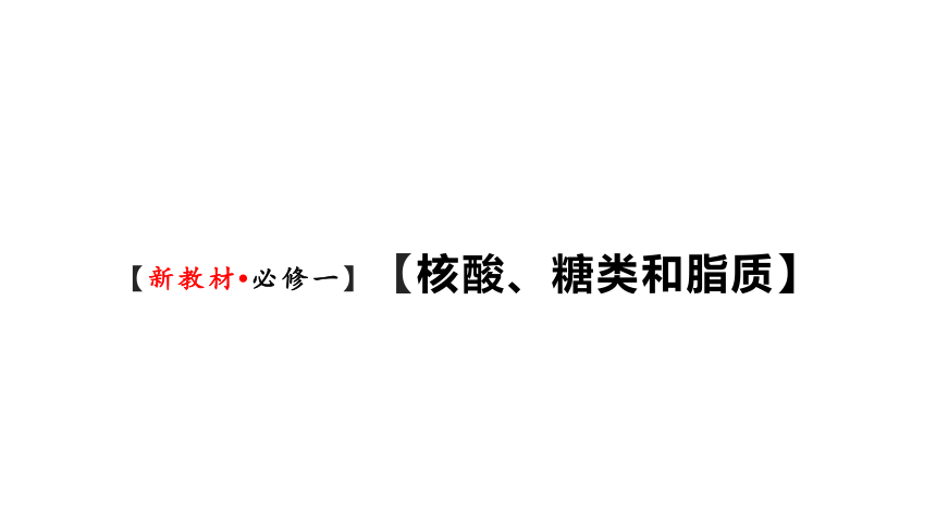 新人教必修1专题复习课件：07 核酸、糖类和脂质(共72张PPT)