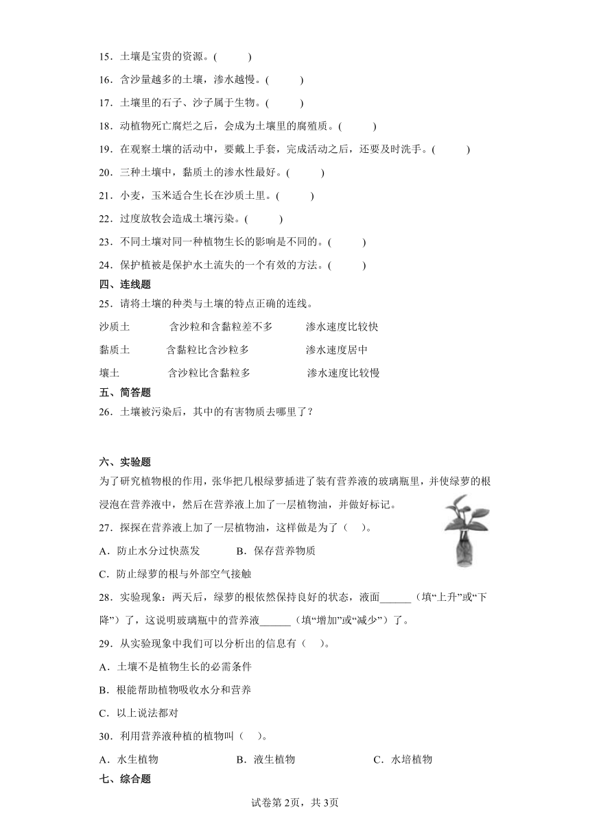 第四单元土壤，生命的家园期末复习卷2三年级科学下册（大象版2017）