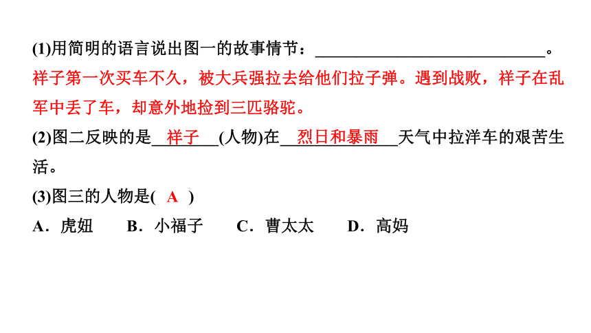 第三单元名著导读 《骆驼祥子》 讲练课件(共23张PPT)