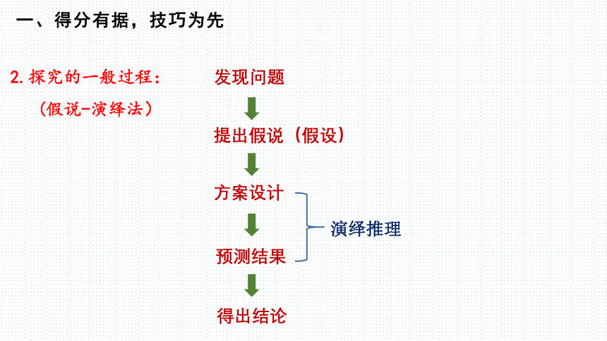 2024年高考生物二轮专题复习课件孟德尔遗传规律综合解题技巧------实验设计(共20张PPT)