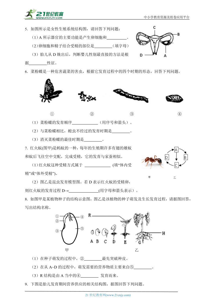 浙教版科学 七下 第1章 代代相传的生命 章节填空题精选（含答案）