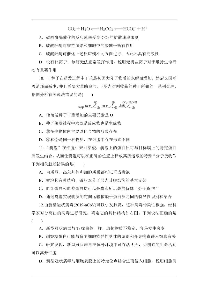 2021-2022学年高一上学期生物苏教版（2019）必修1模块训练（word版含解析）