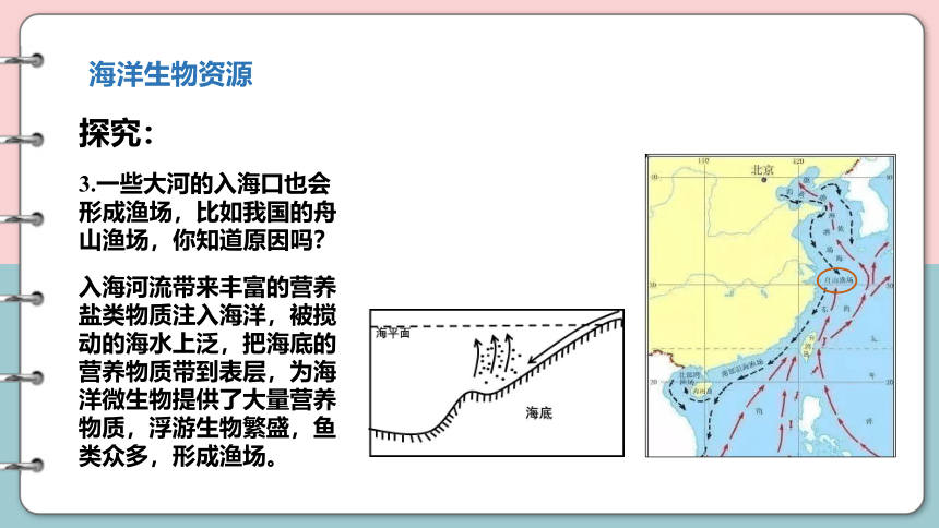 4.3 海洋与人类  同步课件（41张）