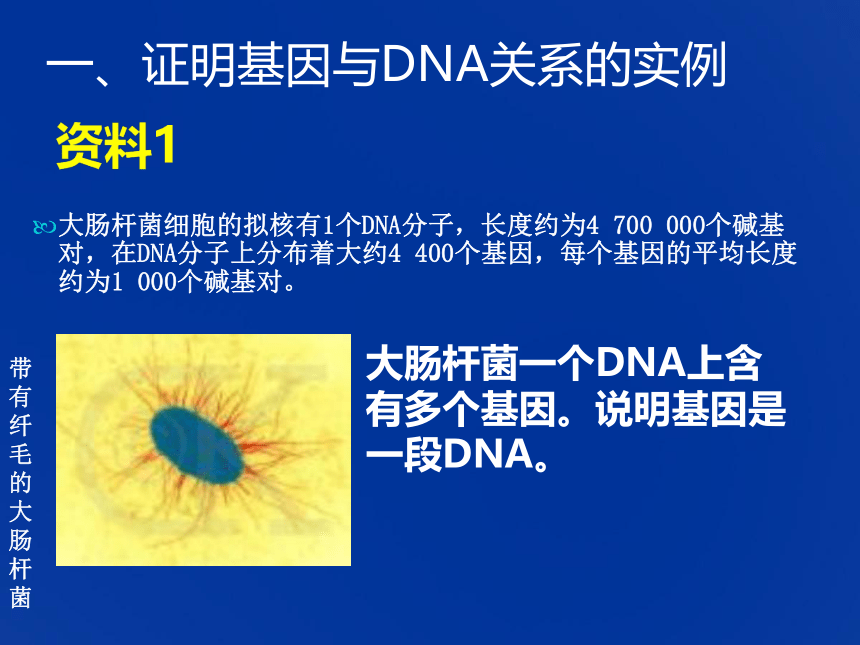 2.3.4基因是有遗传效应的DNA片段（共15张PPT）