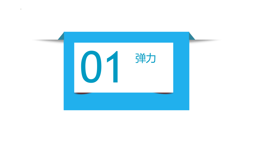 6.3 弹力与弹簧测力计 课件(共24张PPT)2022-2023学年沪科版八年级物理全册