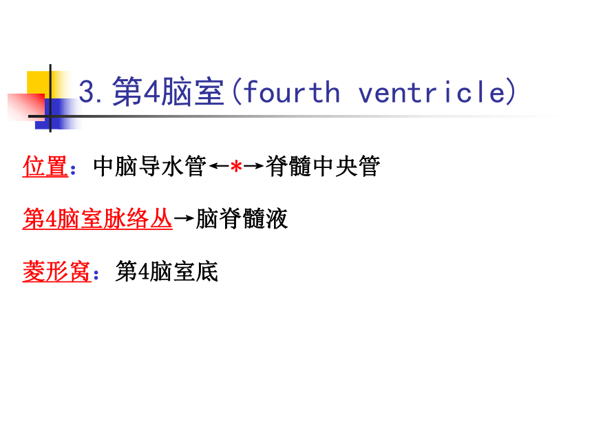 11 神经系统-4 课件(共80张PPT)- 《畜禽解剖生理学》同步教学（高教版）