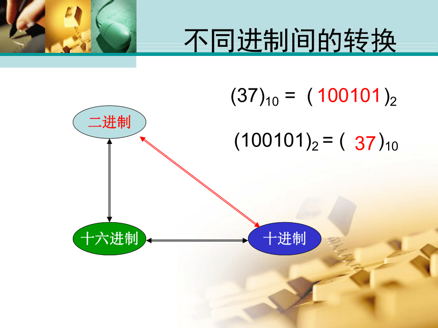 华东师大版第二册信息技术 1.1信息与计算机 课件（14张PPT）