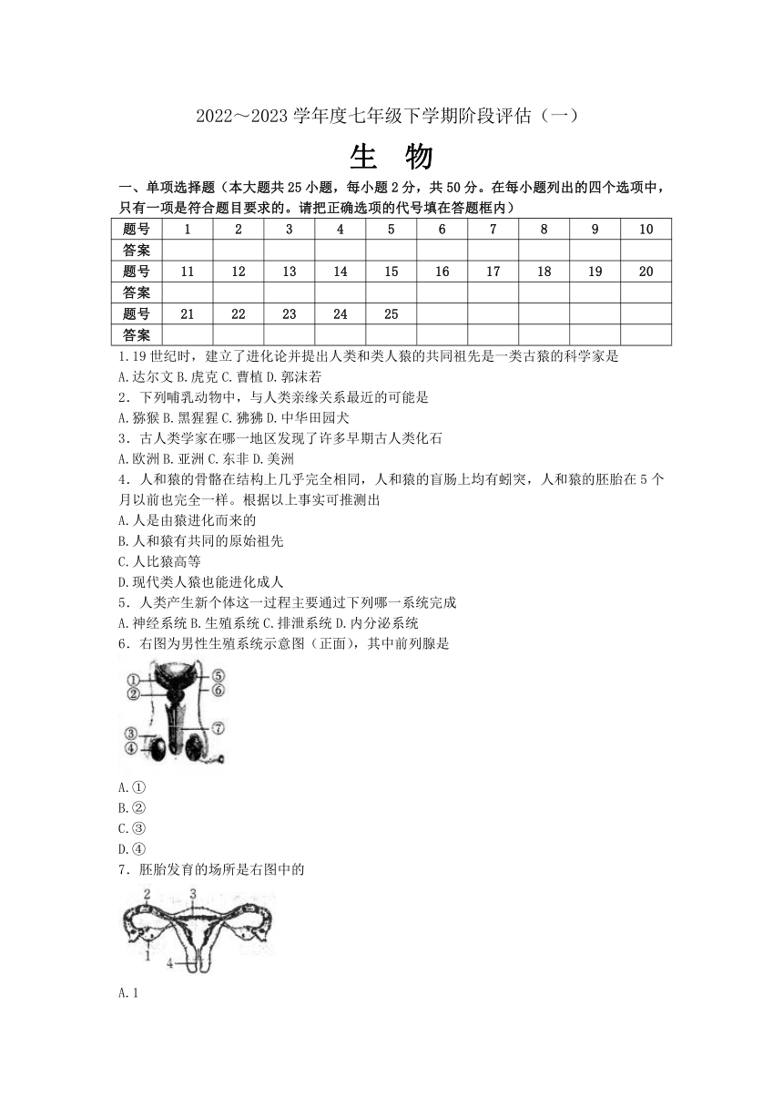 福建省尤溪县第七中学2022-2023学年七年级下学期阶段评估（一）生物试题（含答案）