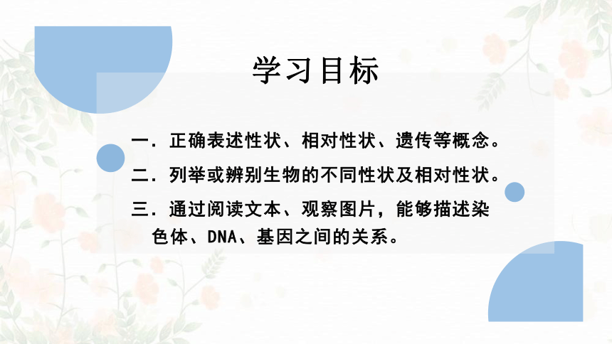 22.1生物的遗传课件(共60张PPT)2021--2022学年苏科版生物八年级下册