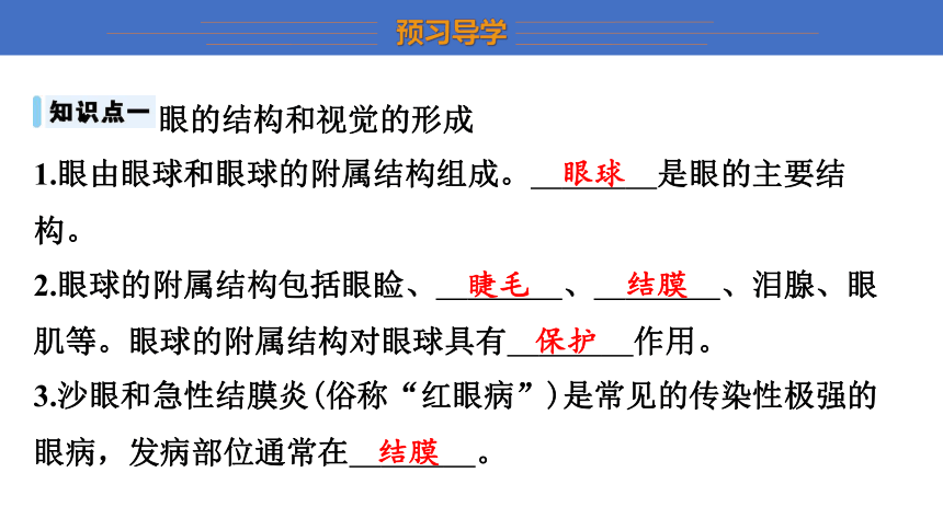 6.16.2 第1课时 眼与视觉 课件 (共22张PPT)2023-2024学年苏科版生物八年级上册