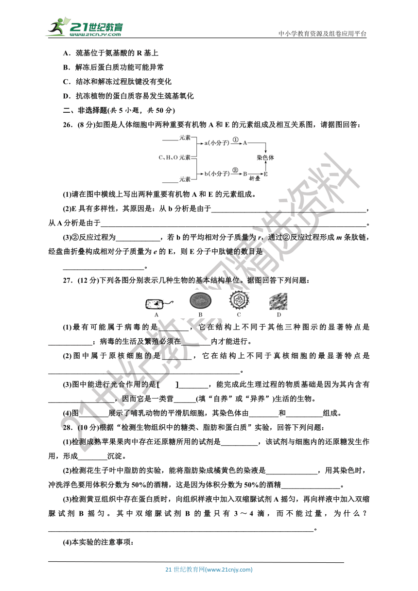 【课后练习】阶段综合检测（一）  走近细胞  组成细胞的分  人教版（2019）生物学 必修1（含答案）