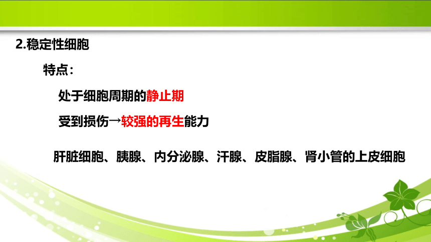 1.3损伤的修复 课件(共31张PPT)《病理学》同步教学（人卫版）