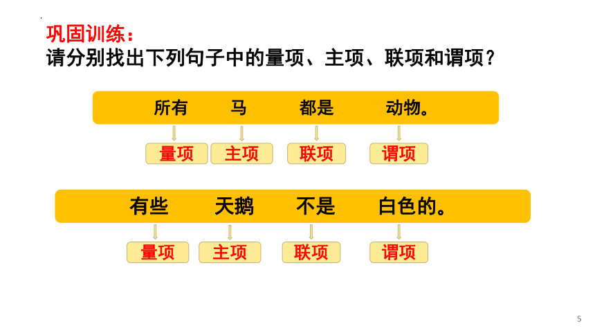 5.2 正确运用简单判断 课件（25张PPT）