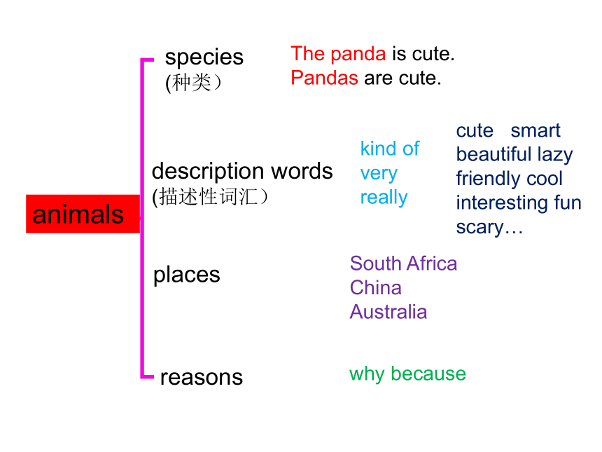 Unit 5 Why do you like pandas? Grammar Focus - 3c 课件