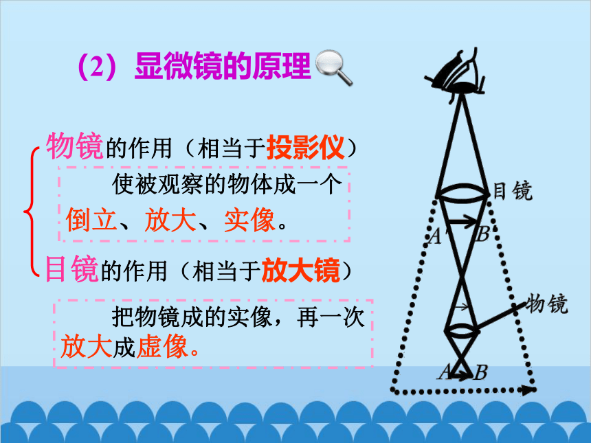 人教版物理八年级上册 第5章第5节 显微镜和望远镜课件(共23张PPT)