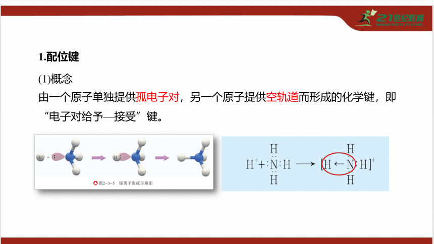 3.4 配合物与超分子课件（共41张PPT）